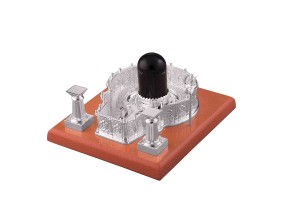 SHIVLING MAHAKALESHWER